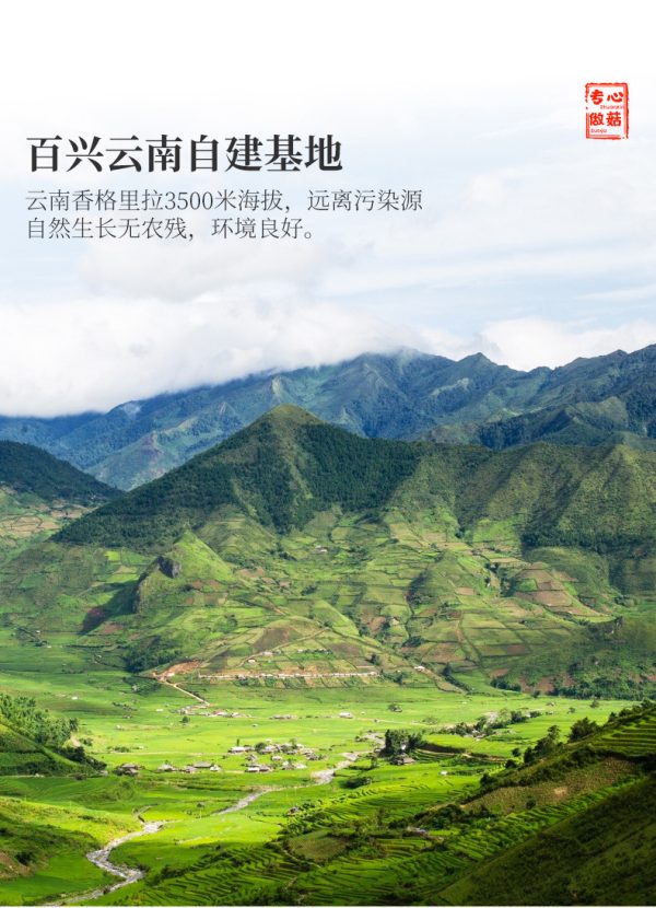 百山祖羊肚菌干货云南特产炖汤煲汤野生菌菇去柄团购批发30g瓶装 - Image 10