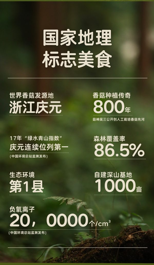 百山祖三无香菇酱不辣拌面酱拌饭酱儿童佐餐酱下饭菜菌菇辣酱批发 - Image 8