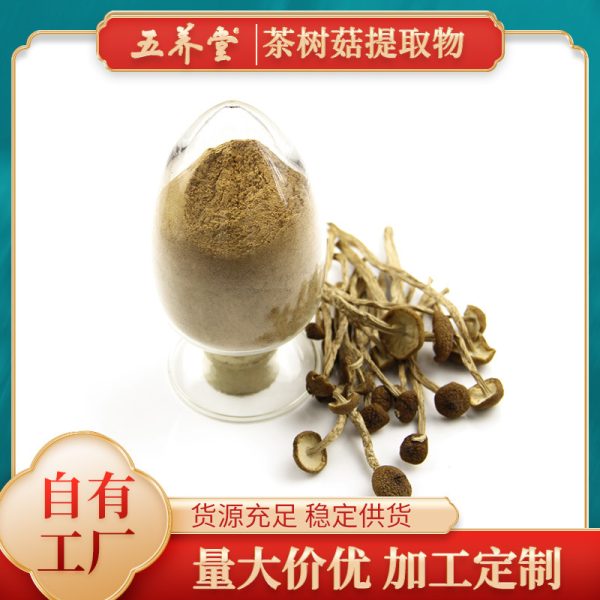 五养堂茶树菇提取物 厂家供应茶树菇多糖30%原料批发