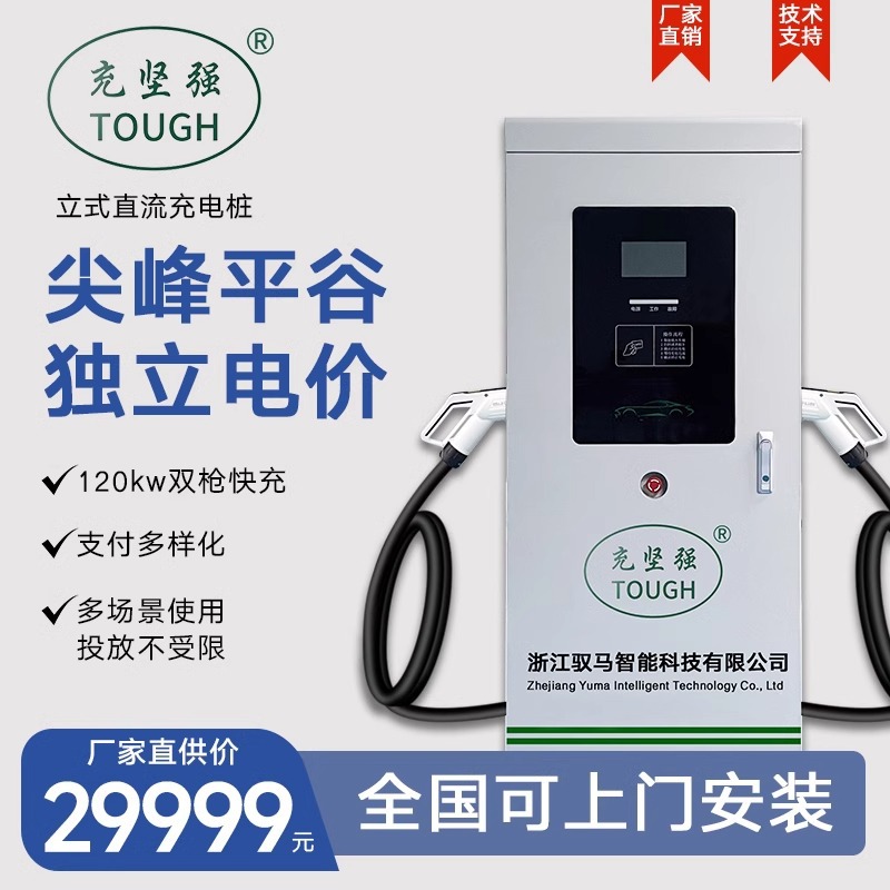 新能源汽车直流充电桩20KW/40kw30/60/120KW9孔快充380V红旗蔚来 - Image 2