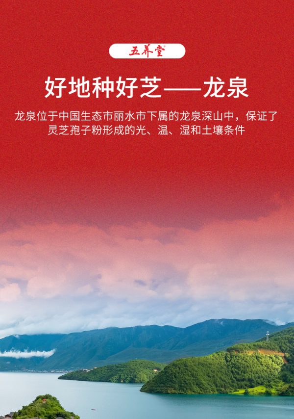 五养堂灵芝提取物定制logo 厂家供应灵芝多糖胶囊OEM贴牌代加工 - Image 9