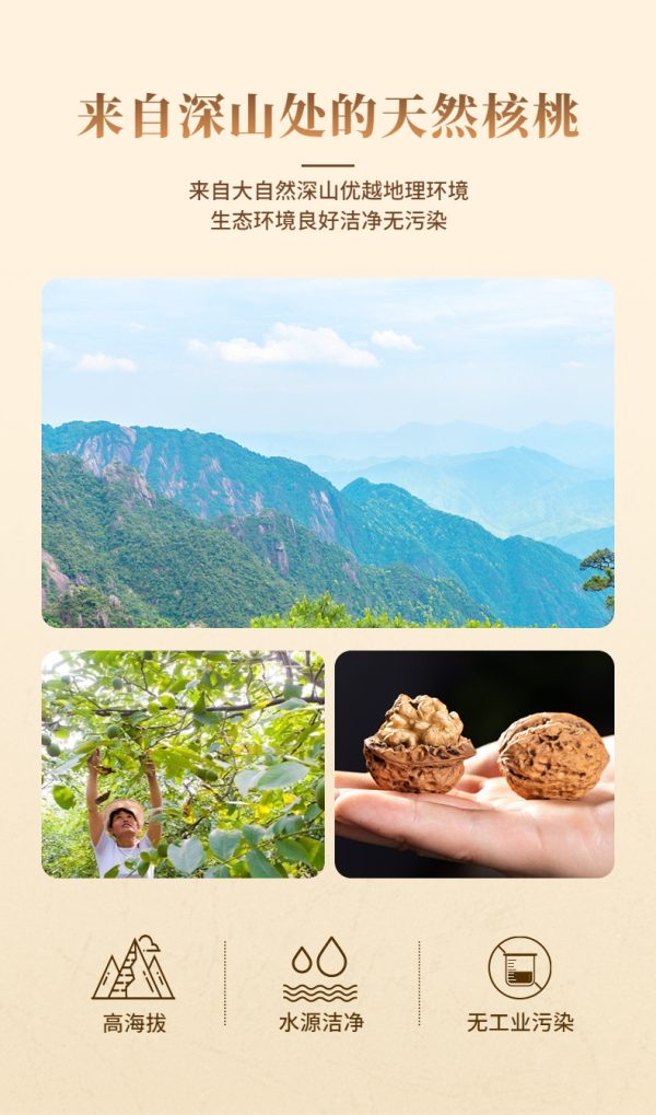 核桃油冷榨植物油压榨纯核桃油厂家直供批发食用油 - Image 8