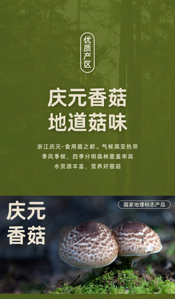 百山祖三无香菇酱不辣拌面酱拌饭酱儿童佐餐酱下饭菜菌菇辣酱批发 - Image 7