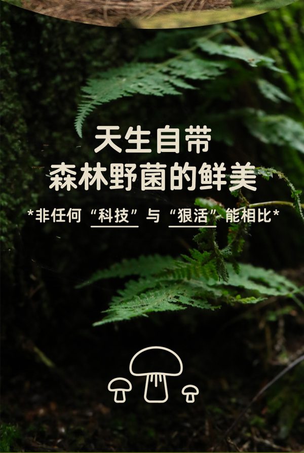 百山祖香菇酱调味酱批发下饭酱拌饭酱肉酱火锅蘸料调味酱拌面酱料 - Image 9