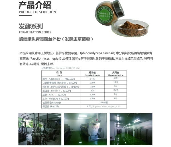 五养堂蝙蝠蛾拟青霉菌丝体粉 厂家供应发酵虫草菌粉原料批发现货 - Image 7