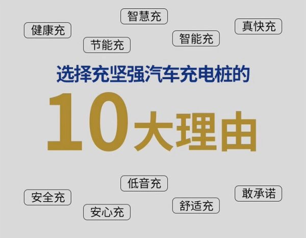 新能源汽车家用9孔直流快充电桩40kw380v冲电桩刷卡启动防盗充 - Image 9