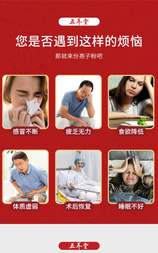 五养堂破壁灵芝孢子粉批发高山林下源头栽培工厂直发高含量直供 - Image 8