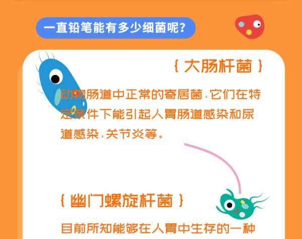 鸿星文具抗菌铅笔一年级小学生三角杆书写铅笔矫正握姿带橡皮铅笔 - Image 9