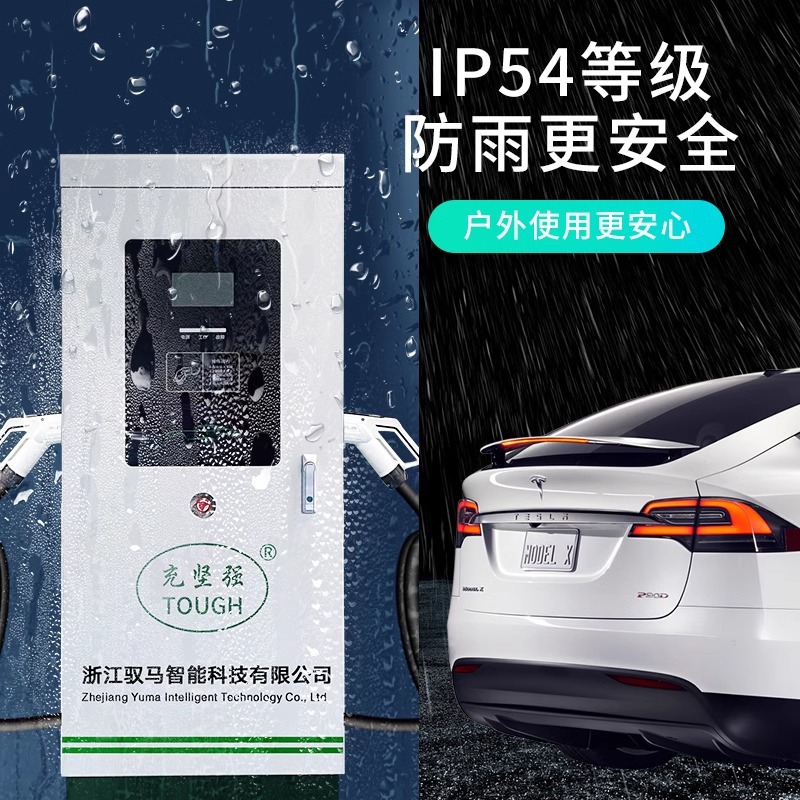 新能源汽车直流充电桩20KW/40kw30/60/120KW9孔快充380V红旗蔚来 - Image 5