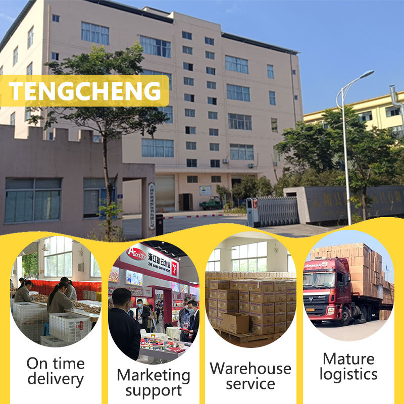 代发跨境托马斯木制轨道电动小火车拼装系列兼容场景轨道玩具礼物 - Image 4