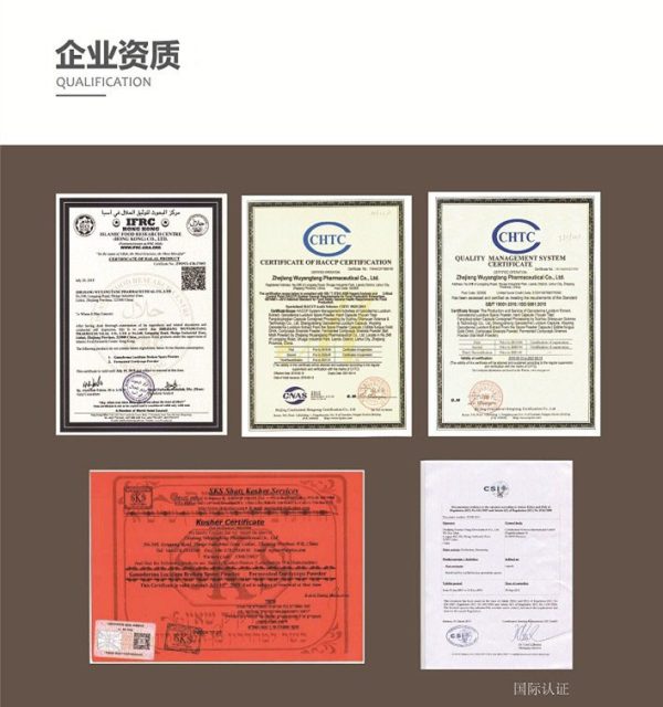 五养堂蝙蝠蛾拟青霉菌丝体粉 厂家供应发酵虫草菌粉原料批发现货 - Image 8