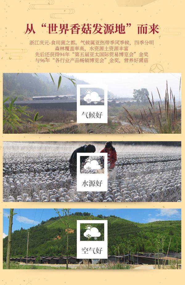 百山祖十八鲜礼盒香菇干货特产年货礼盒过年送礼礼盒新年年货 - Image 9
