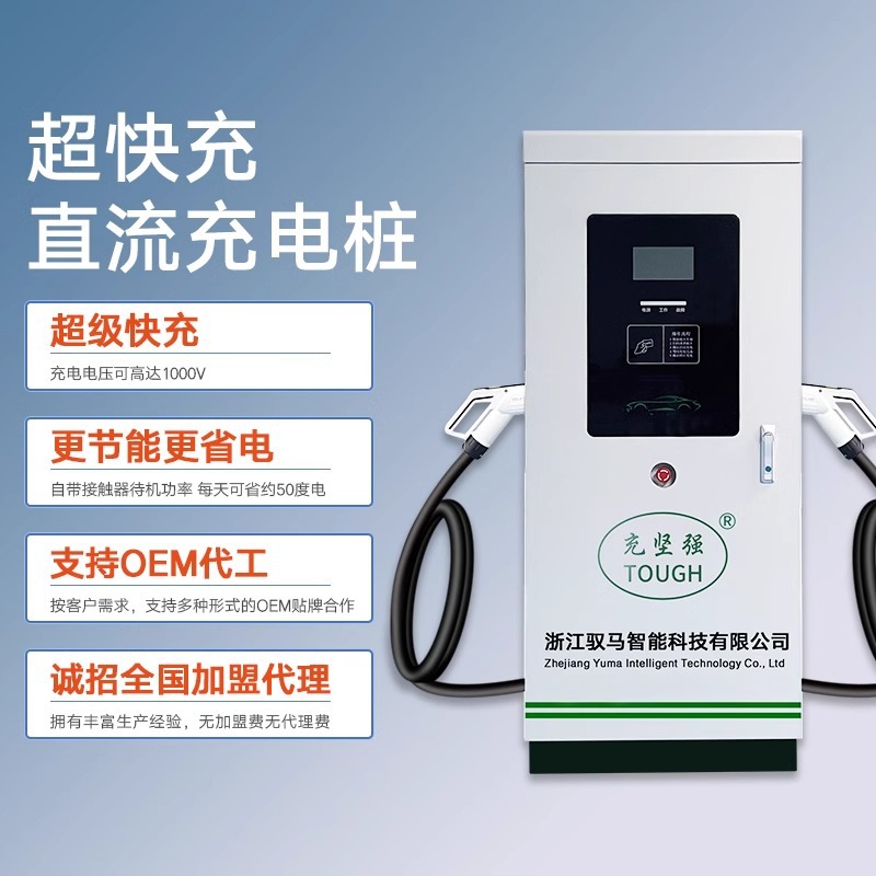 新能源汽车直流充电桩20KW/40kw30/60/120KW9孔快充380V红旗蔚来