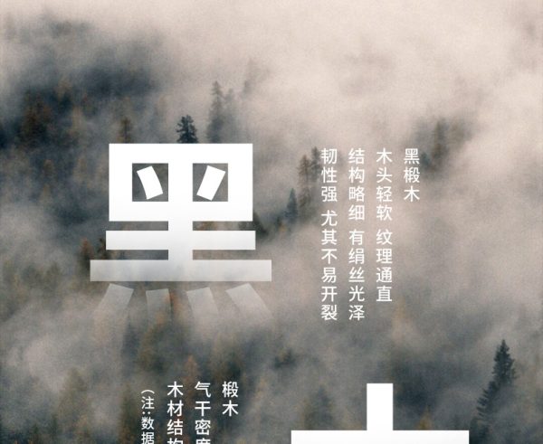 鸿星文具黑木铅笔 光亚结合热转印沾顶德国芯铅笔 盒装圆杆HB铅笔 - Image 7
