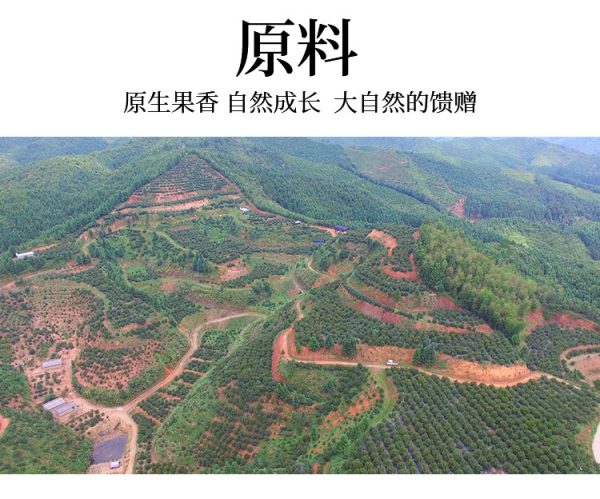 食品级植物油批发 有机亚麻籽油有机核桃油有机山茶油 190kg/桶 - Image 9