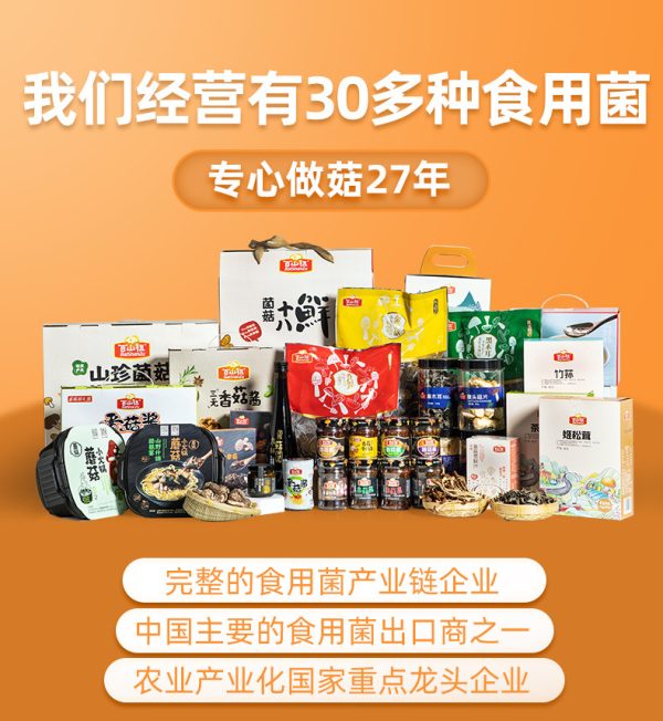 百山祖牛肝菌山珍酱蘑菇酱拌饭拌面酱香菇酱下饭菜调味酱批发 - Image 6