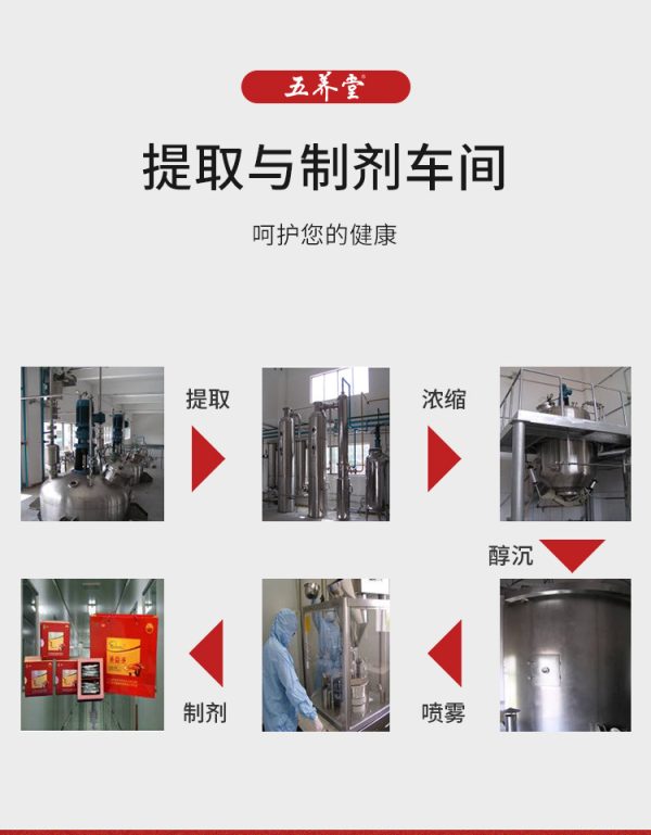 五养堂茶树菇提取物定制 厂家供应茶树菇多糖胶囊OEM贴牌代加工 - Image 9
