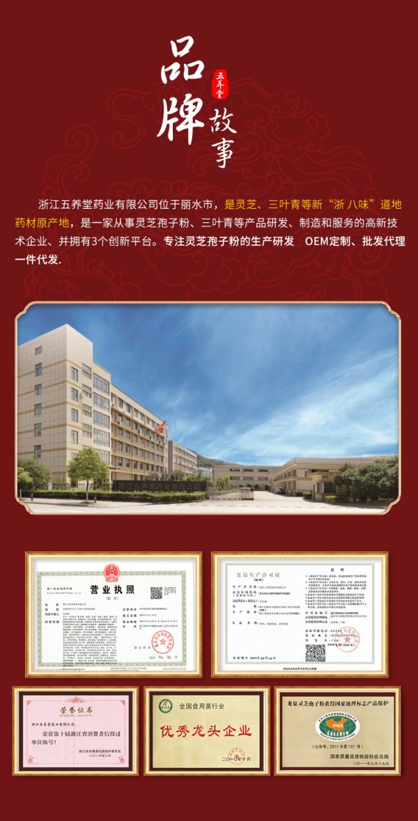 五养堂破壁灵芝孢子粉批发高山林下源头栽培工厂直发高含量直供 - Image 6