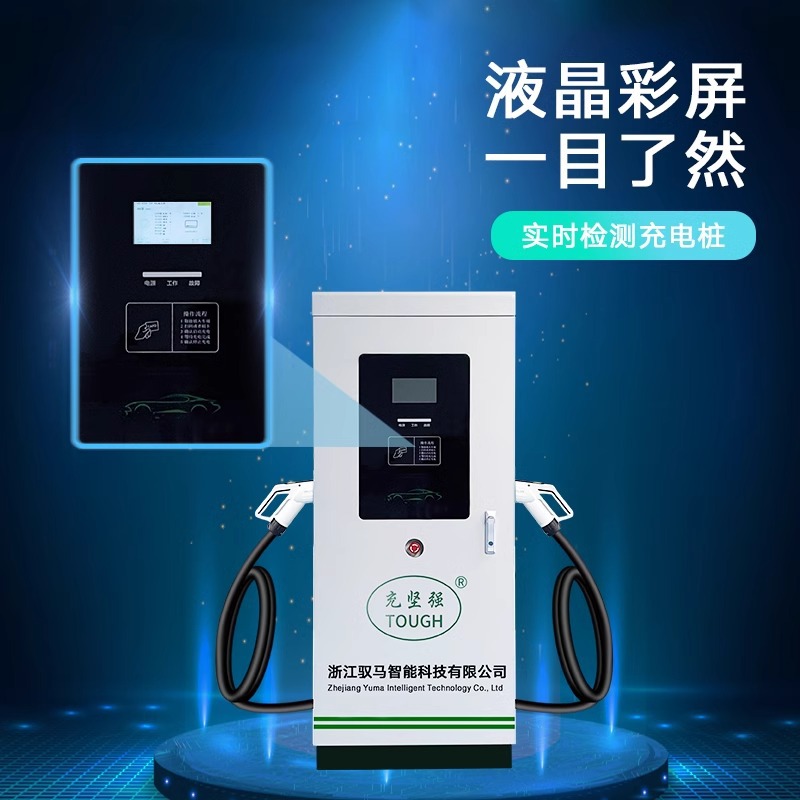新能源汽车直流充电桩20KW/40kw30/60/120KW9孔快充380V红旗蔚来 - Image 3