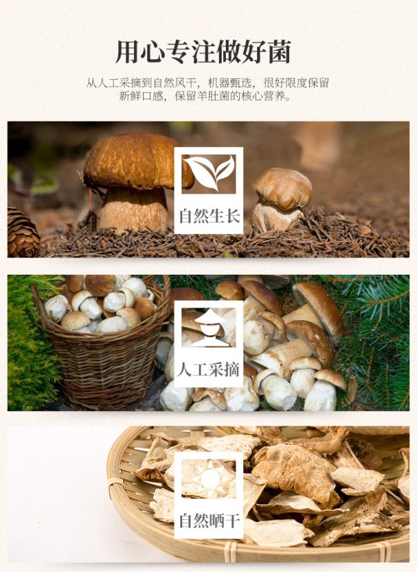 百山祖牛肝菌干货云食用菌南特产见手青菌菇干货现货批发定制1斤 - Image 9
