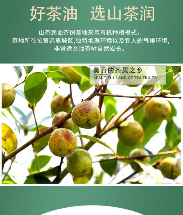 山茶油食用油批发1L1.5L铁罐装山茶籽油植物油厂家 - Image 10