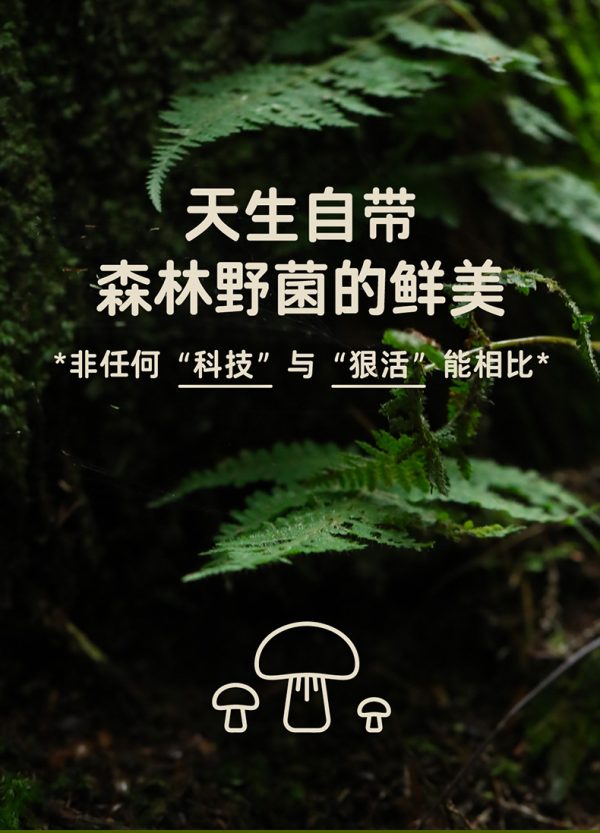 百山祖牛肝菌山珍酱蘑菇酱拌饭拌面酱香菇酱下饭菜调味酱批发 - Image 8