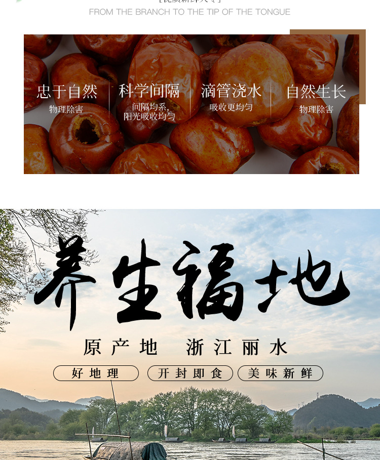香酥65g脆枣红枣批货休闲解馋零食无核即食原味红枣干批发代发