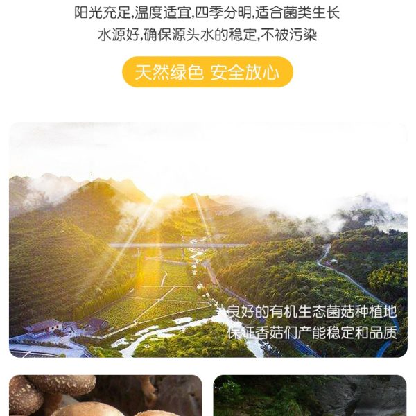 香菇脆整箱批发脱水蔬菜干即食零食果蔬脆片低温脱水菌菇脆批货