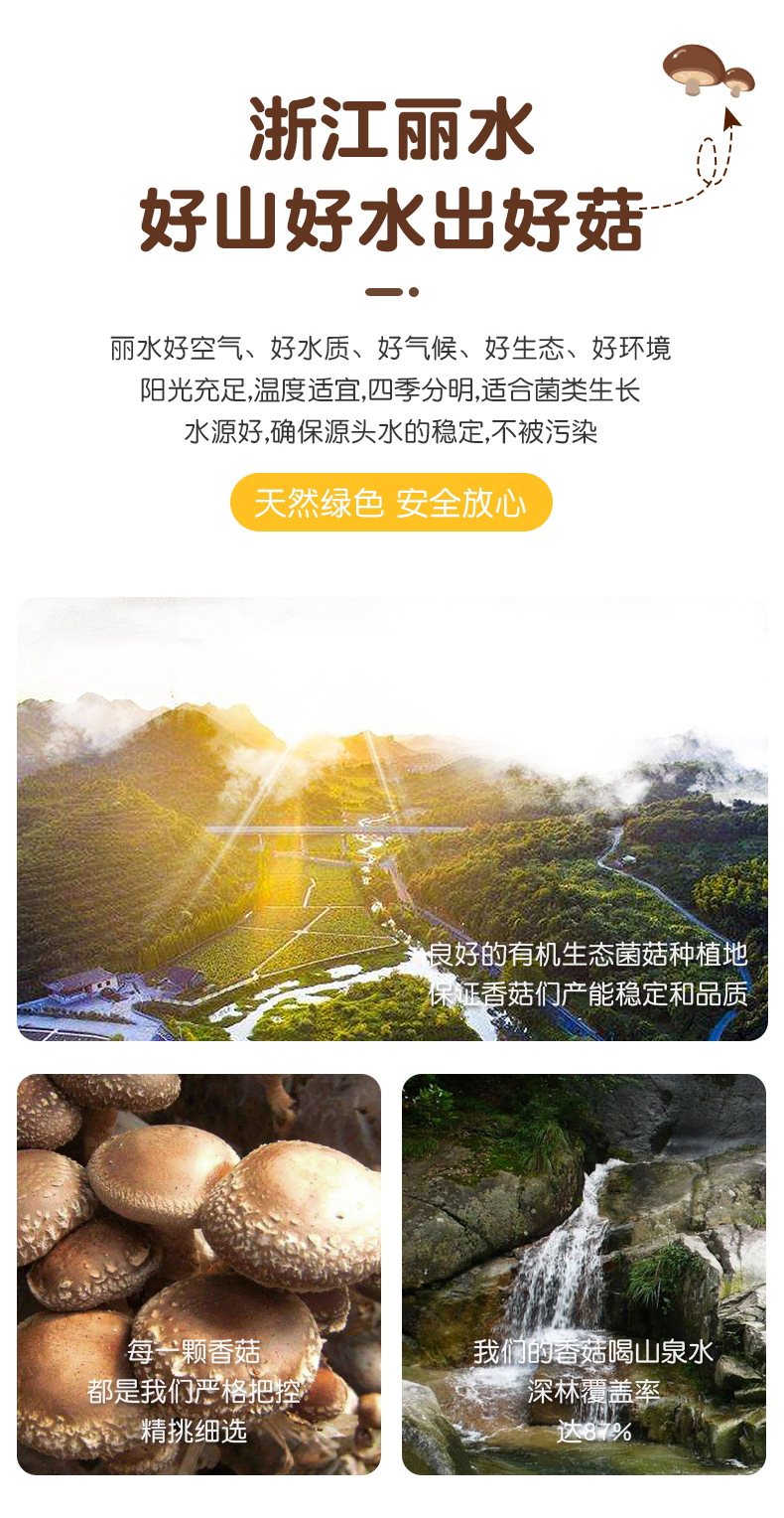 散装香菇脆即食香菇干批发网红零食果蔬脆脆片菌菇脆脱水香菇500g