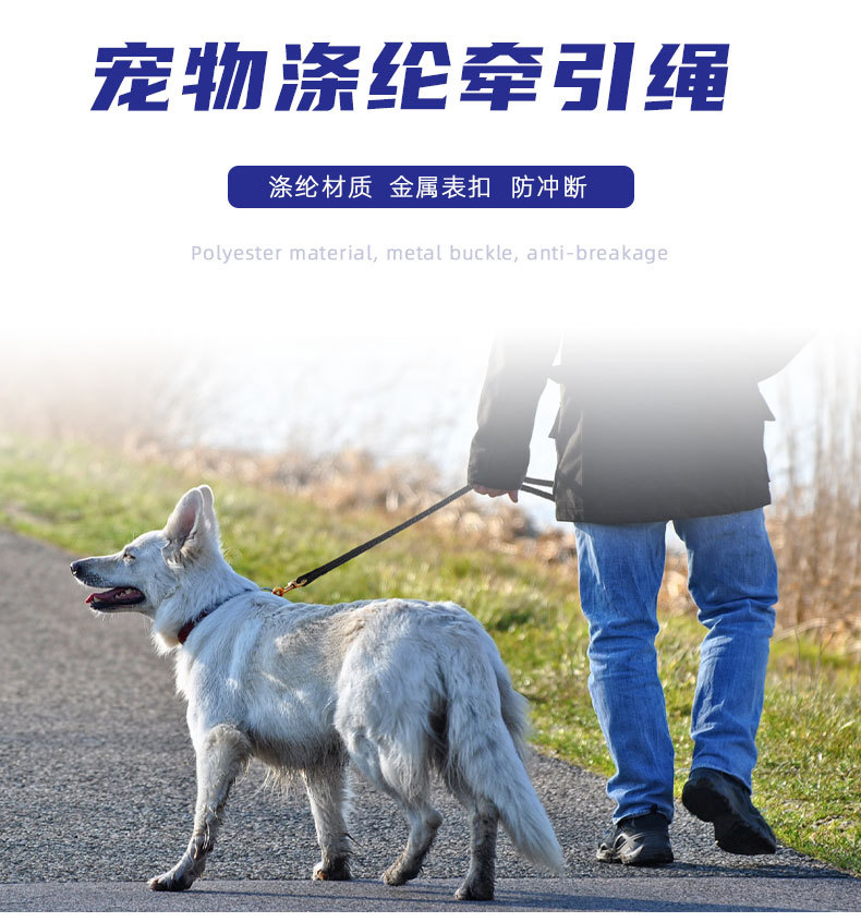 跨境新款狗绳 厂家直供批发 宠物用品牵引遛狗涤纶绳子小中大型犬