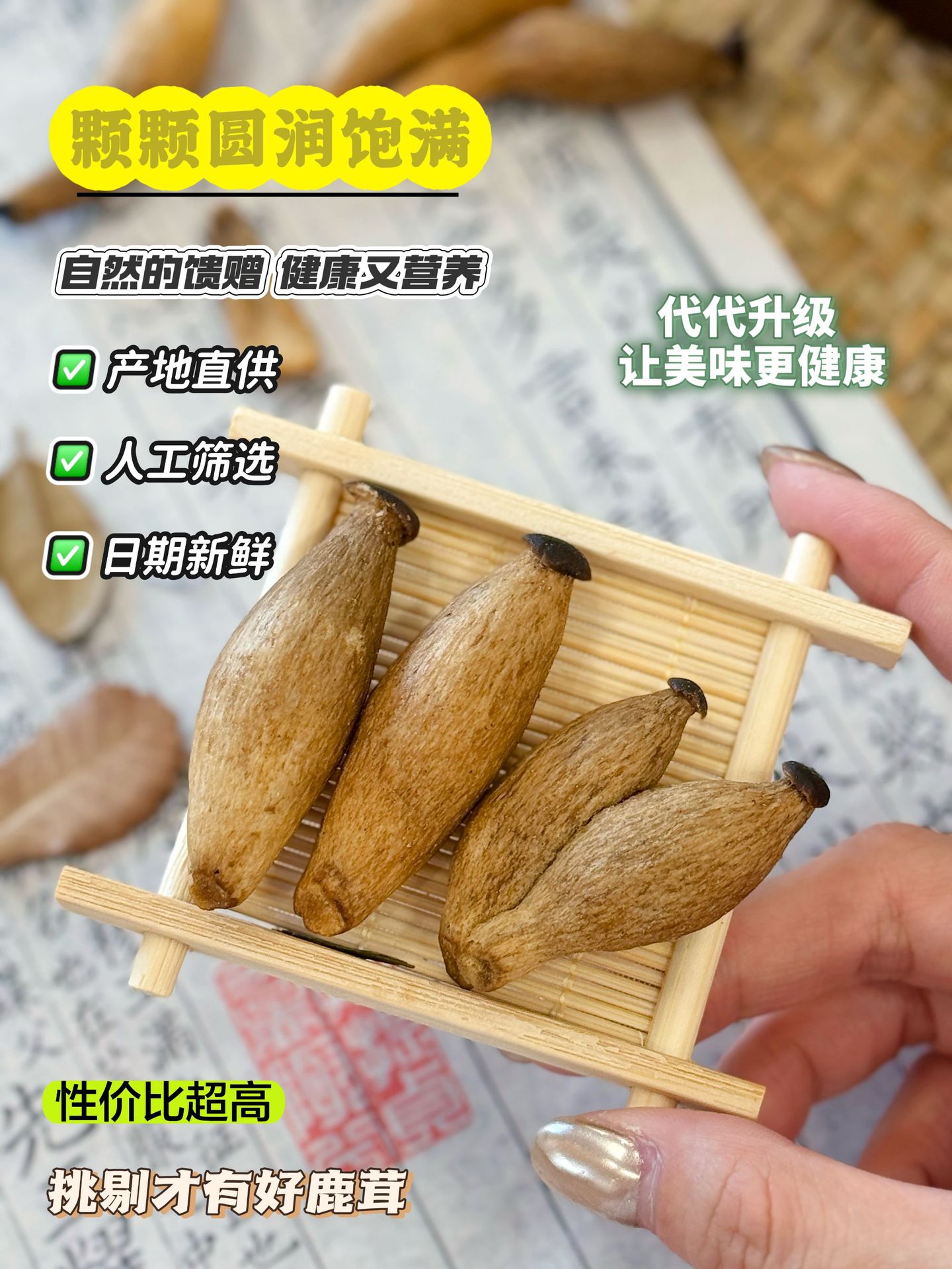 即食鹿茸菇脆网红蘑菇蔬菜干厂家批发散装整箱菌菇脆即食零食批货