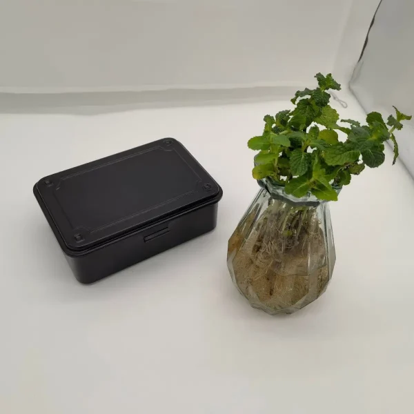 爆款美观精致可装饰易放置礼品盒收纳盒小型收纳箱文具盒T-150