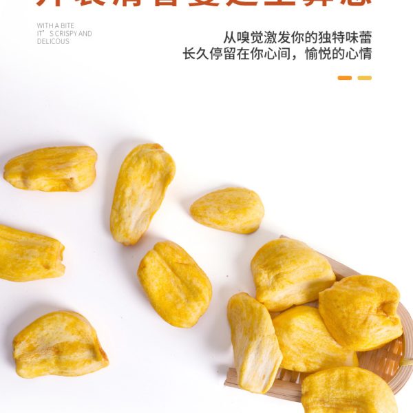 跨境货源代发菠萝蜜干100克脱水果蔬脆干OEM贴牌工厂大量批发