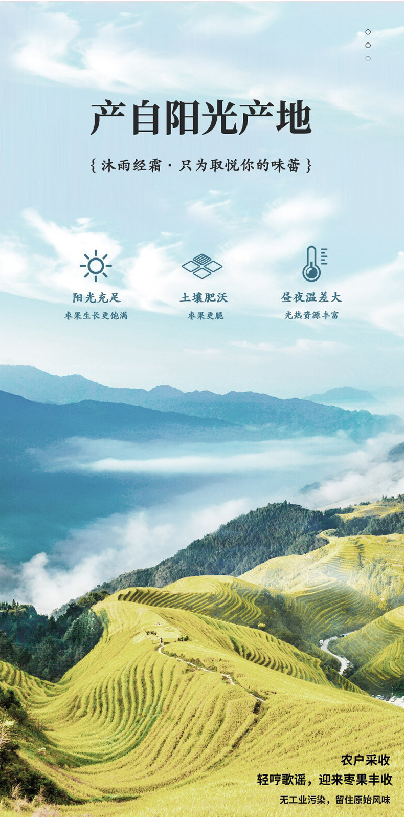 特产无核整箱脆冬枣网红休闲零食小包装新疆红枣干散装厂家批发