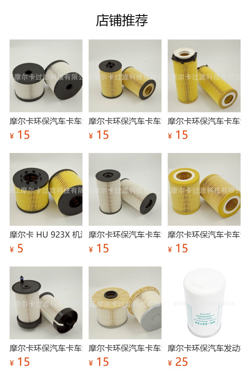 厂家直销汽车卡车汽油发动机系统 IMG_7763 燃油机油滤清器 滤芯