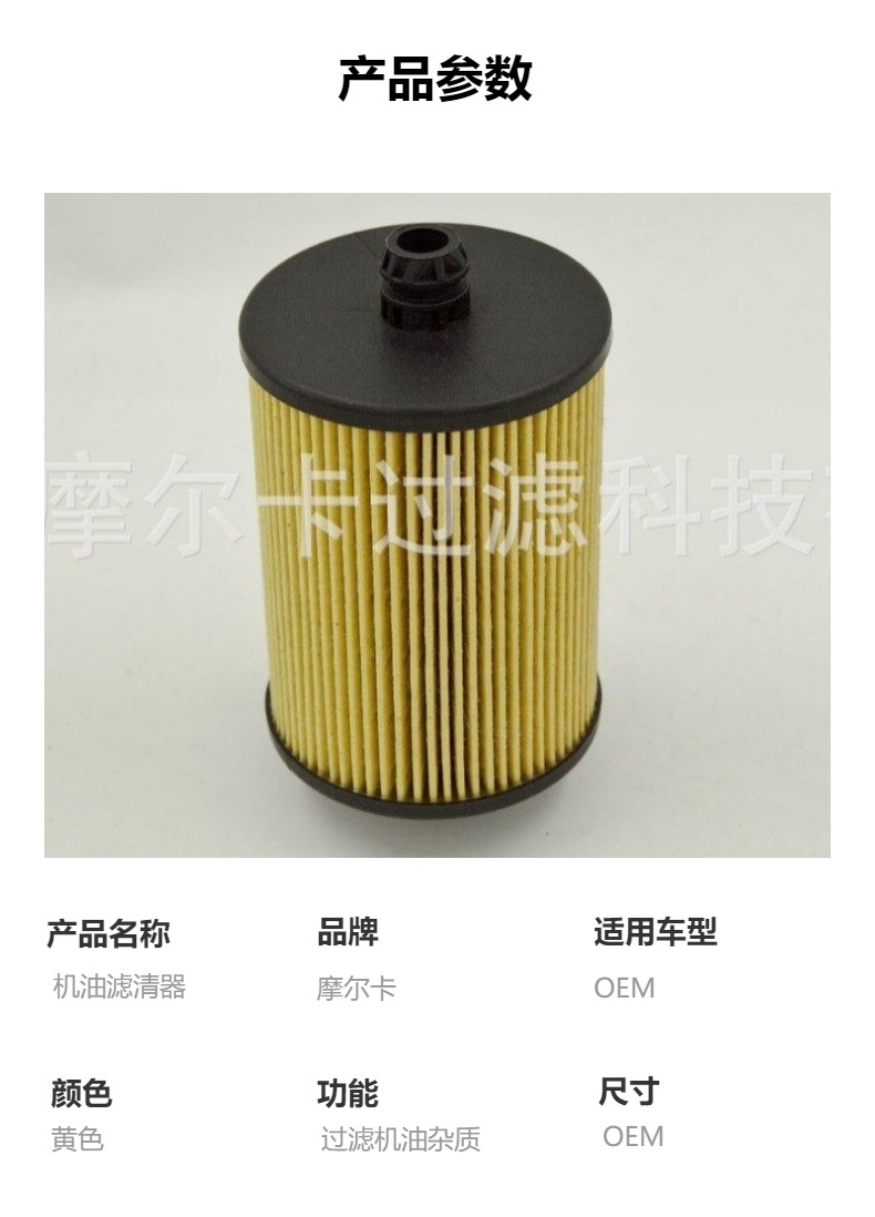 摩尔卡汽车卡车汽油发动机系统 IMG_8241 机油滤清器