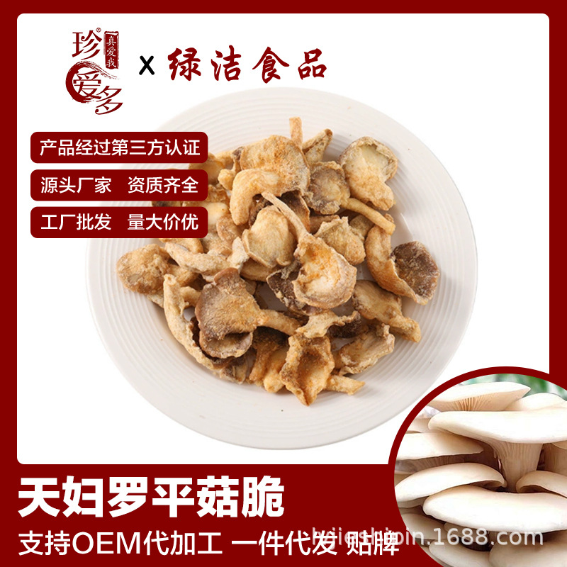 酥脆蘑菇菌菇脆即食1kg批发儿童解馋零食天妇罗平菇脆厂家批货代