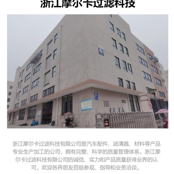 摩尔卡环保汽车卡车汽油发动机系统机油滤清器 DL10F2016