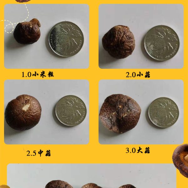 散装香菇脆即食香菇干批发网红零食果蔬脆脆片菌菇脆脱水香菇500g
