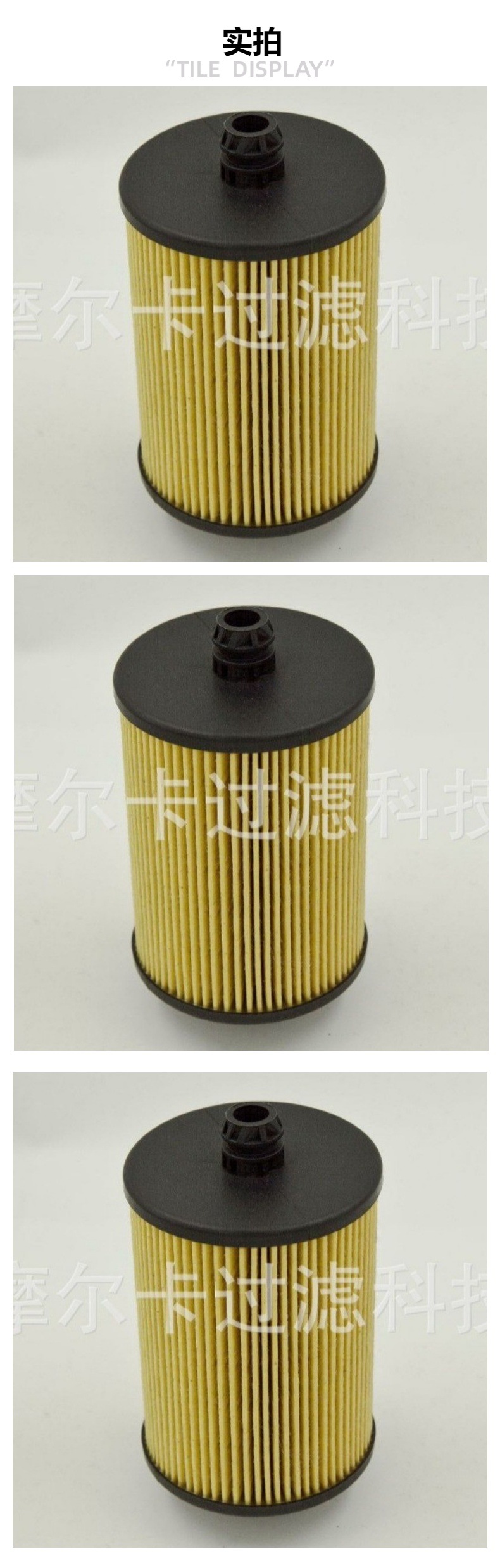 摩尔卡汽车卡车汽油发动机系统 IMG_8241 机油滤清器