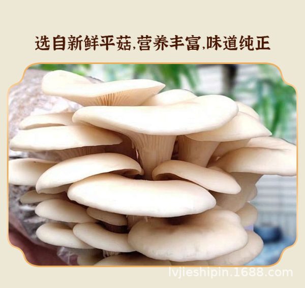 酥脆蘑菇菌菇脆即食1kg批发儿童解馋零食天妇罗平菇脆厂家批货代