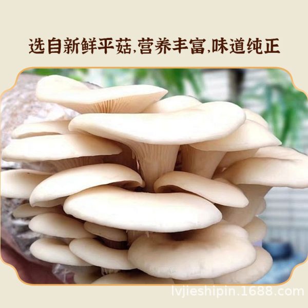 酥脆蘑菇菌菇脆即食1kg批发儿童解馋零食天妇罗平菇脆厂家批货代