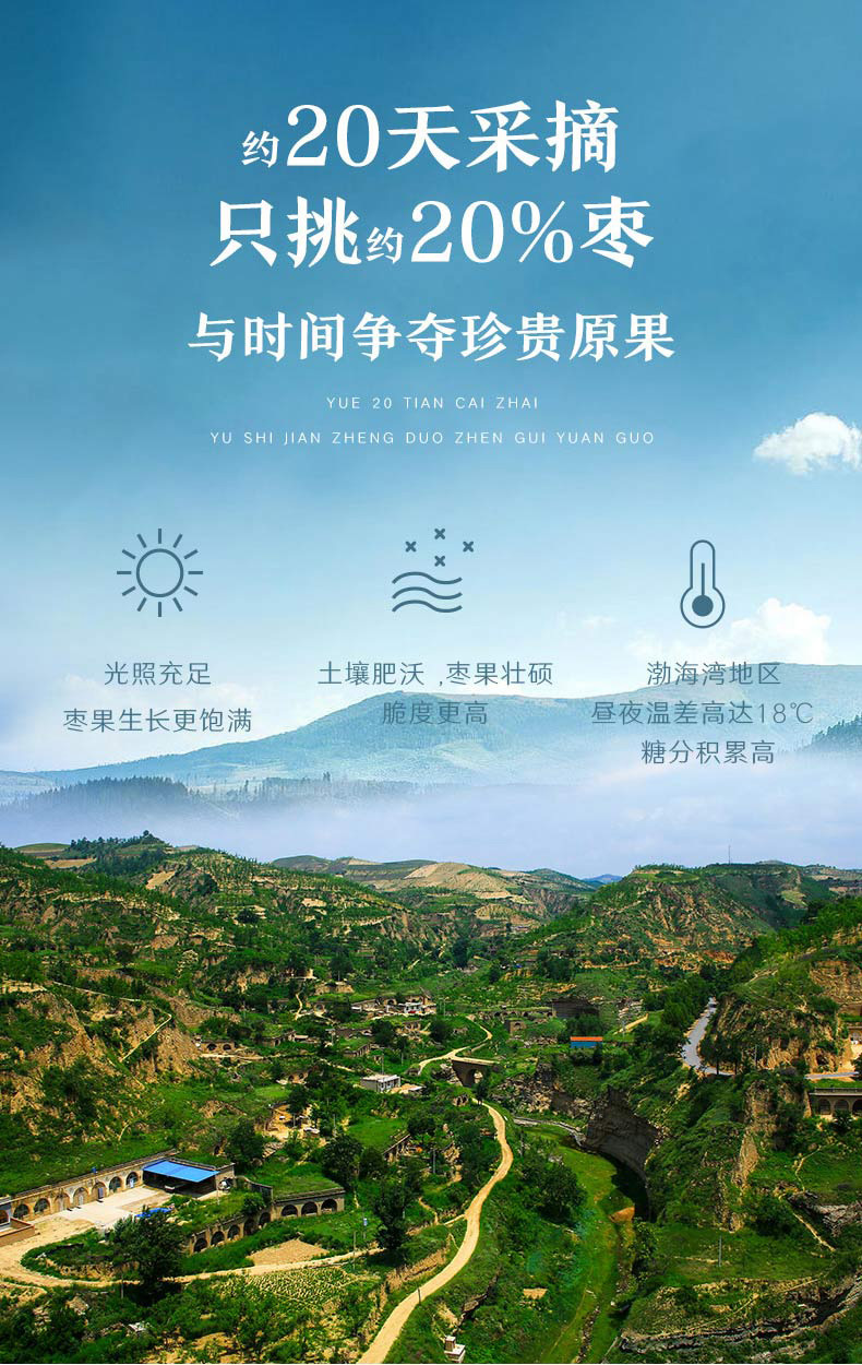 整箱果蔬脆无核红枣香酥脆枣250克即食零食果蔬脆冬枣批货批发