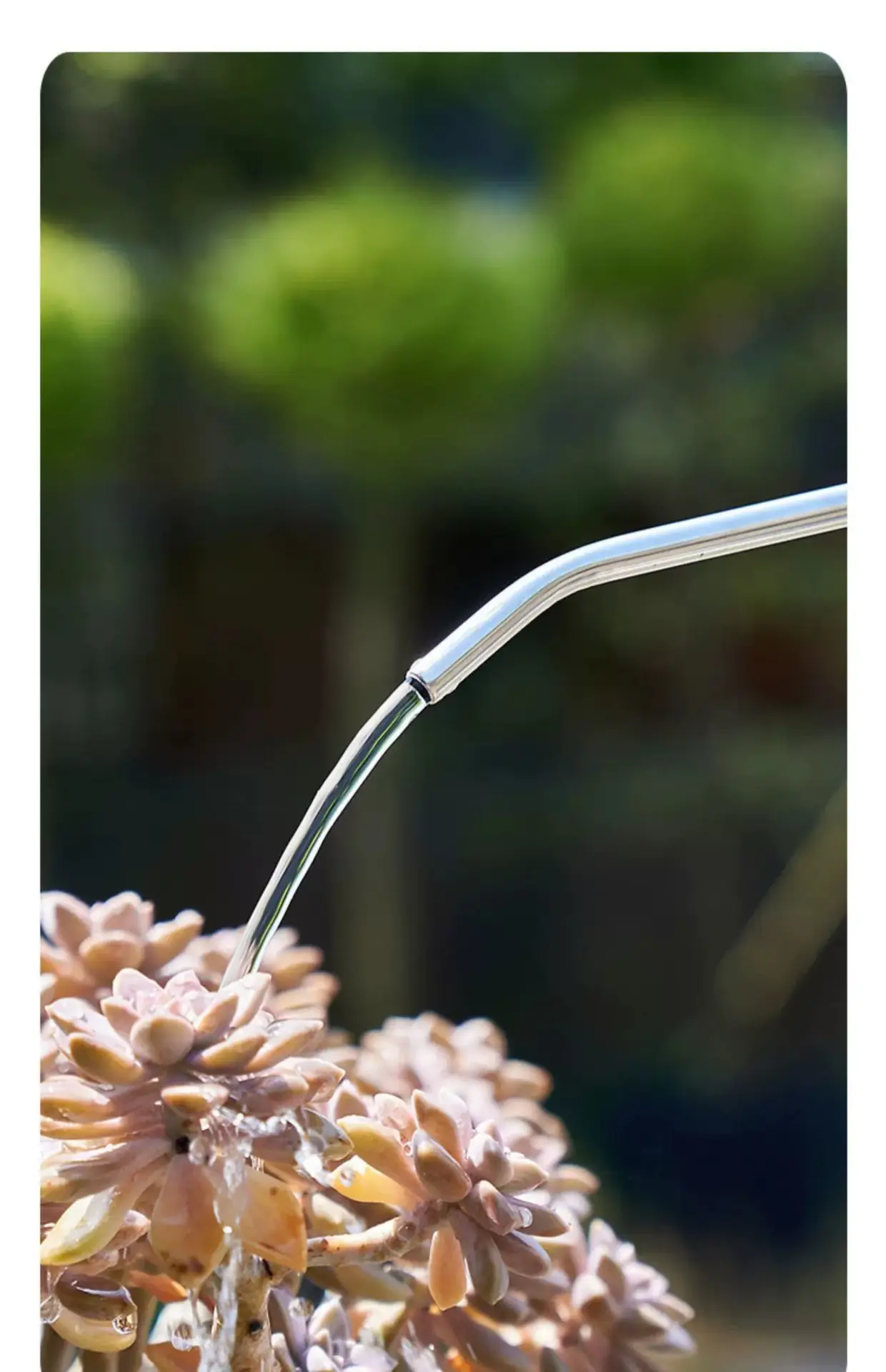 浇花水壶家用小型淋花洒水壶长嘴大喷壶养兰花多肉浇水神器浇花壶