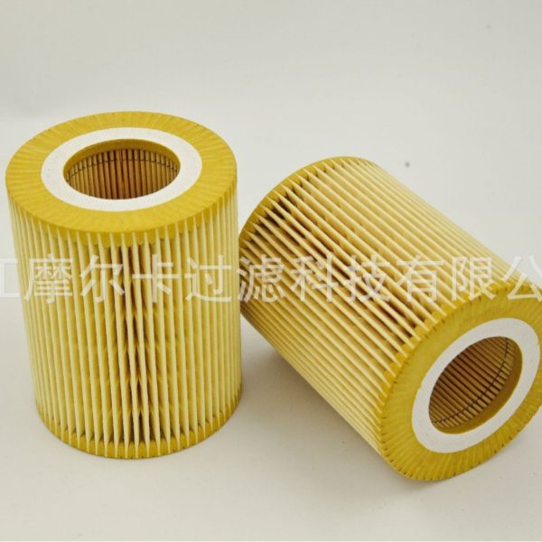 厂家直销汽车卡车汽油发动机系统 IMG_7763 燃油机油滤清器 滤芯